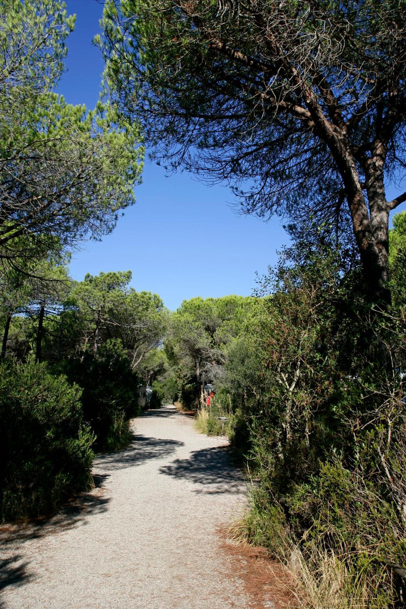 Camping Maremma Sans Souci Castiglione della Pescaia Ngoại thất bức ảnh